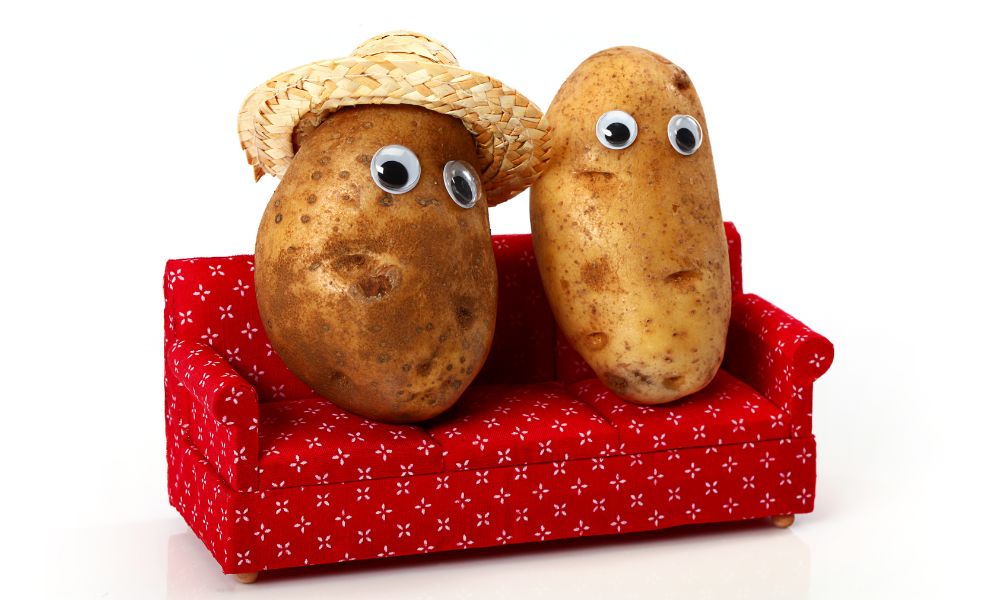 Potato Jokes One-Liners 