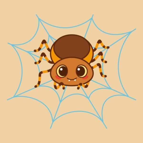 Spider Web Puns And Jokes
