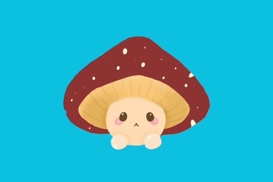 Mushroom Puns and Jokes