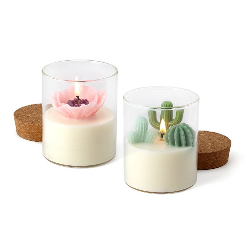 Terrarium Candle gifts for women in their 20s