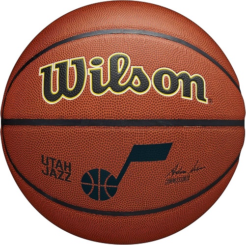 Wilson NBA Authentic Series Basketballs