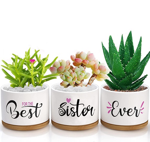 "Best Sister Ever" Succulent Planters