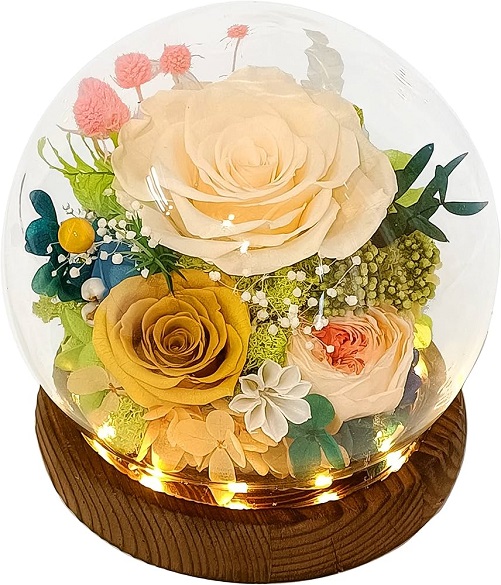 Long-Lasting Real Flowers in a Glass Dome