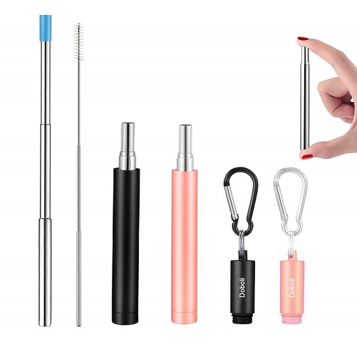 Portable Stainless Steel Straws