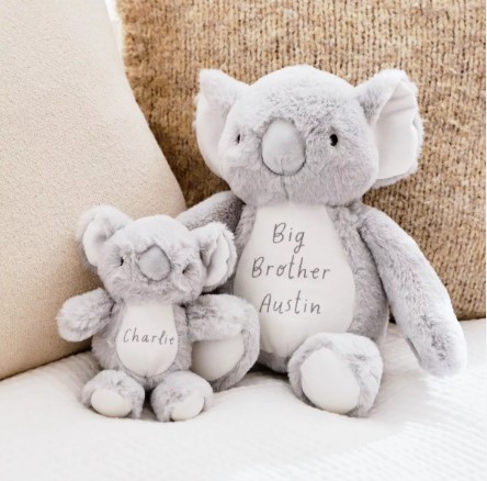 Sibling Stuffed Animals