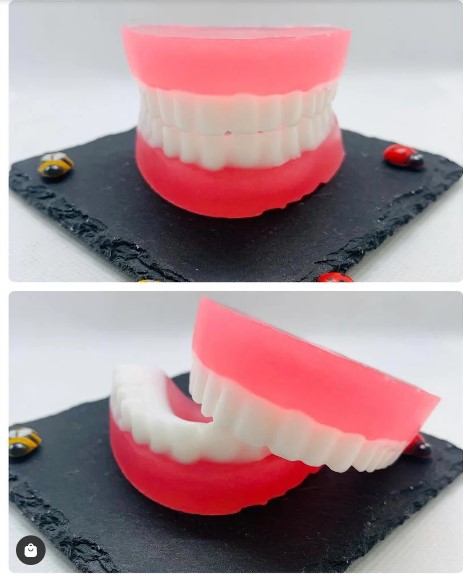 Denture Soap funny 40th birthday gifts