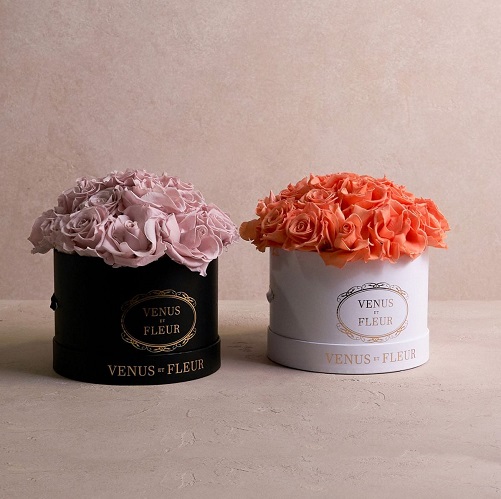 Venus et Fleur Eternity Roses