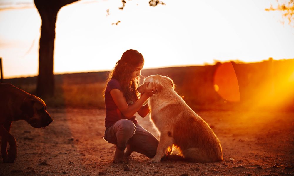 Dog captions love