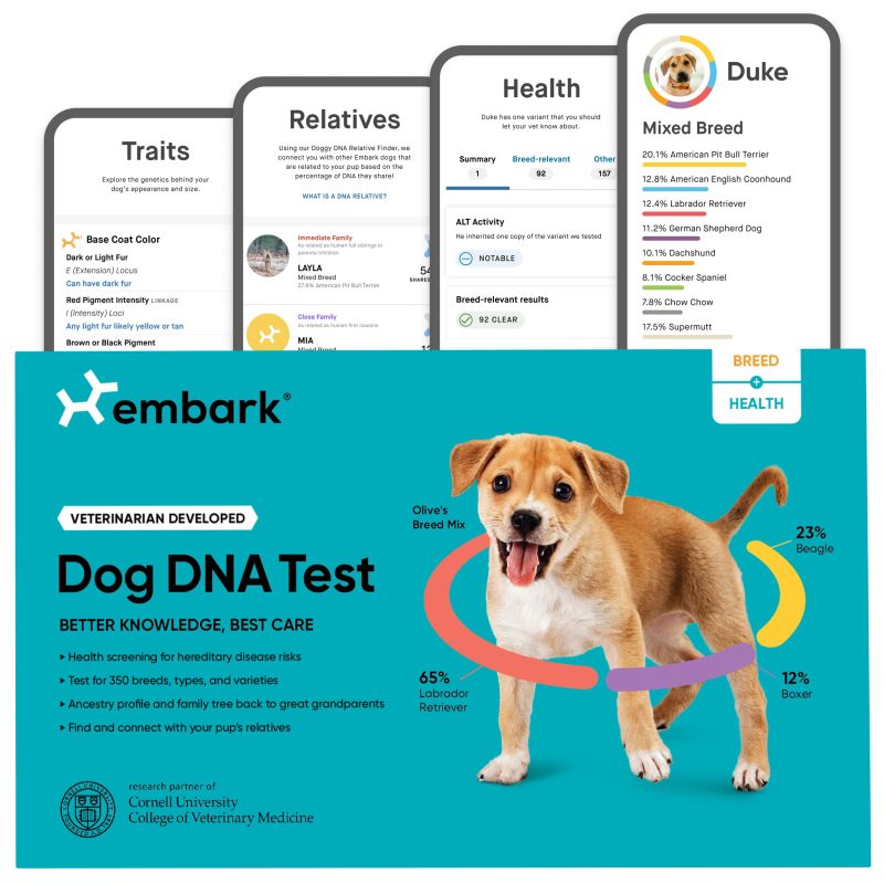 Dog DNA Kit