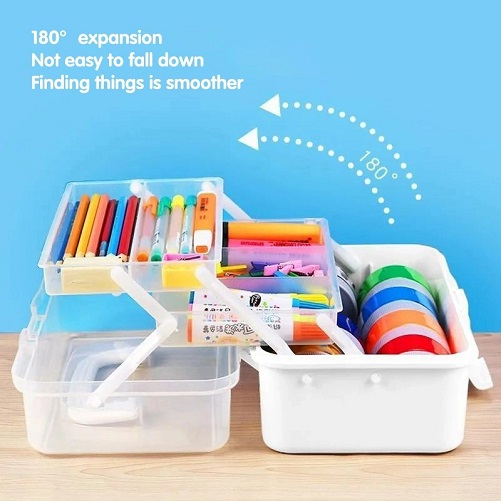 Storage Case and Organizer